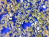 MBD Mesh 100/120 Microscopic